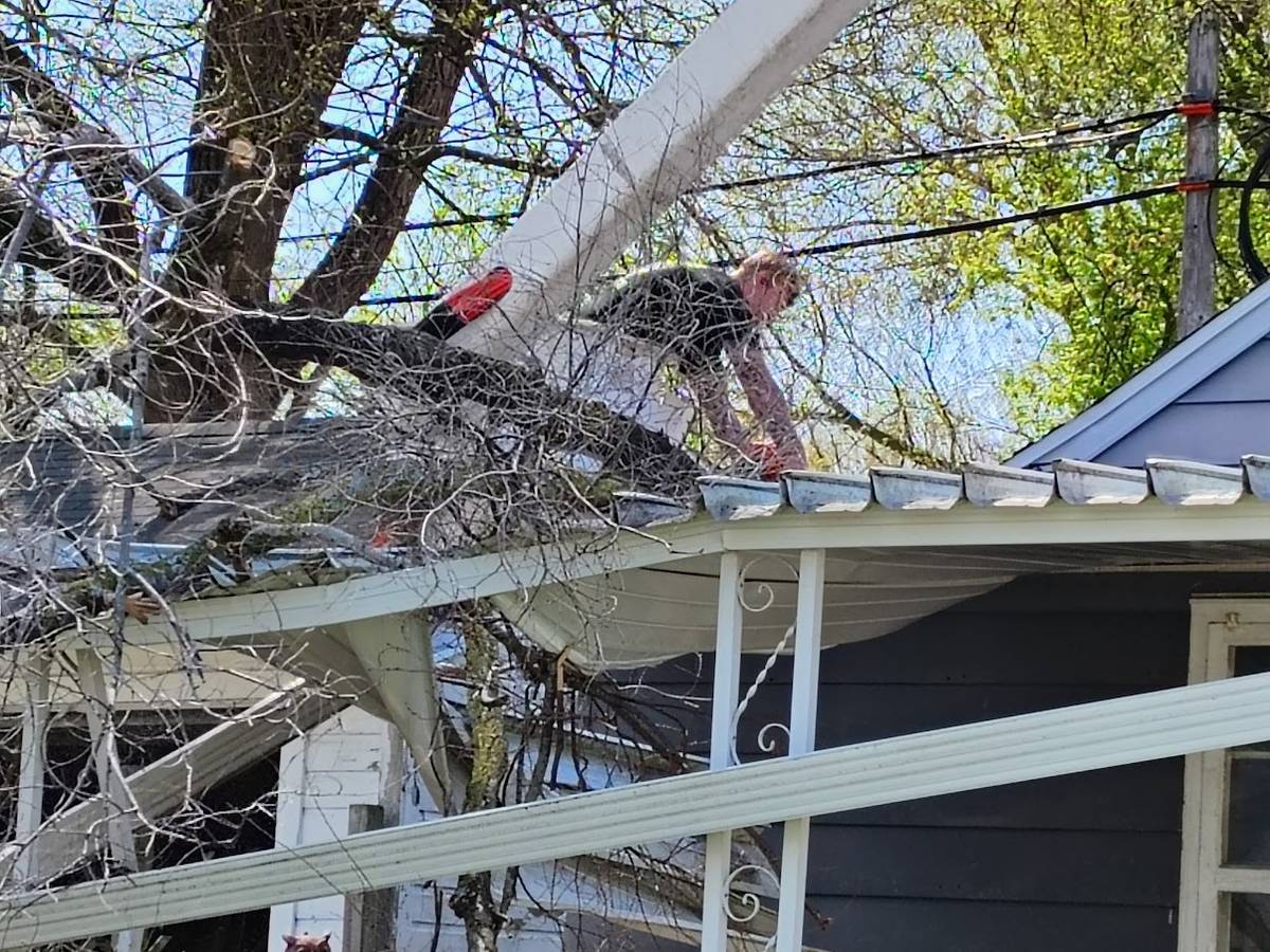A tree lying on a porch awning with a crew member cutting it off the roof.
