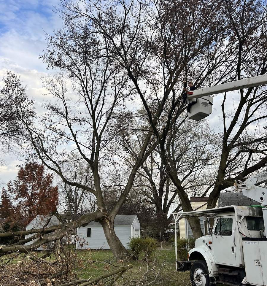 A crew member in a bucket truck's basket high in a bare hardwood tree beside a house, a fallen limb on the ground.
