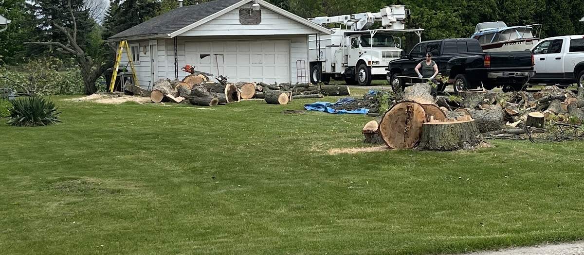 Large cut logs and stump rounds on a green lawn in front of a garage, with a bucket truck and pickups behind.